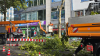 Platane wird am 12. September 2025 auf der Kaiserstraße gefällt