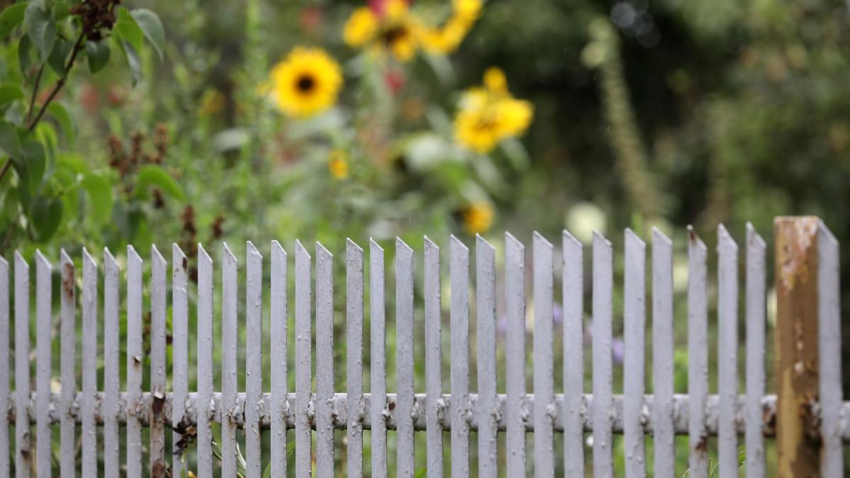 L-rm-Haustiere-Z-une-Das-sind-die-h-ufigsten-Gr-nde-f-r-Nachbarschaftsstreitigkeiten-in-Bayern