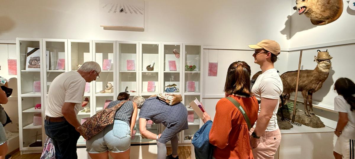 Neue Projekte und ein Jahresthema: Das plant das Naturmuseum nach der Fusion mit dem Museum Ulm