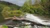Vielerorts ist die ehemalige Grenzregion zum Naturidyll geworden. (Archivbild)