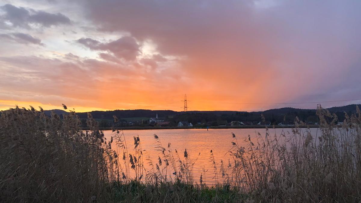 Stausee Icon Heimat – A-Z – Heute V wie Vögel: Warum der Klingnauer Stausee ein ...