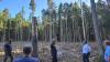 Betriebsleiter Otfried Pankratius erörterte den Mitgliedern des Forstwirtschaftsausschusses die ökologische Bedeutung von Hochstümpfen im Wald.