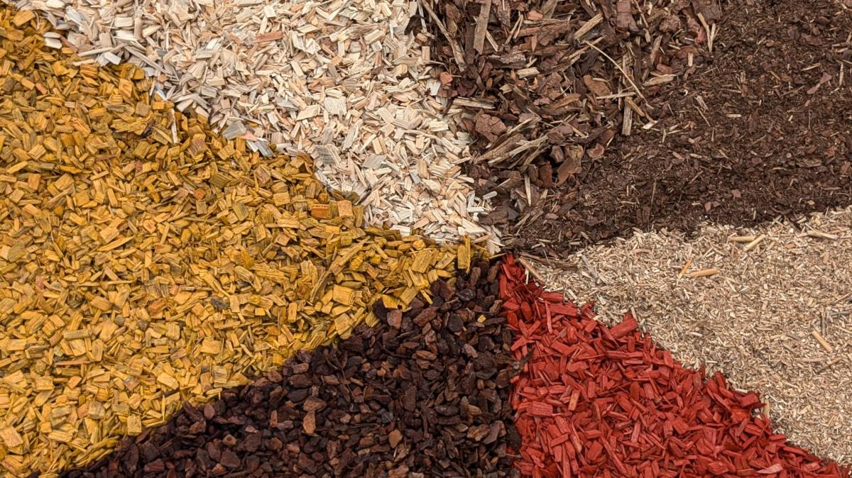 Das Multitalent für Ihren Garten: Wie Mulch Boden, Pflanzen und Gärtner ...