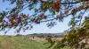 Wo Wiesen und Felder ineinander übergehen, beginnt ein malerischer Ausblick in die Landschaft. Unterwegs auf dem Naturerlebniswanderweg BW7 zwischen Bad Windsheim und Ergersheim.