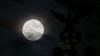 Der Mond kommt der Erde näher. (Archivbild)