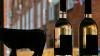 Weinflaschen als Deko im Fenster sehen vielleicht als Zierde gut aus - für den Wein sind Licht, UV-Strahlen und Temperaturschwankungen allerdings Geschmacks-«Gift».