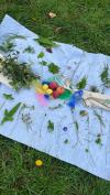 Kräutervielfalt auf der Streuobstwiese.