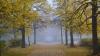 Herbstlicher Schlosspark auf dem Schwanberg.