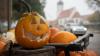 Hier die wichtigsten Tipps rund um den Halloween-Kürbis. 