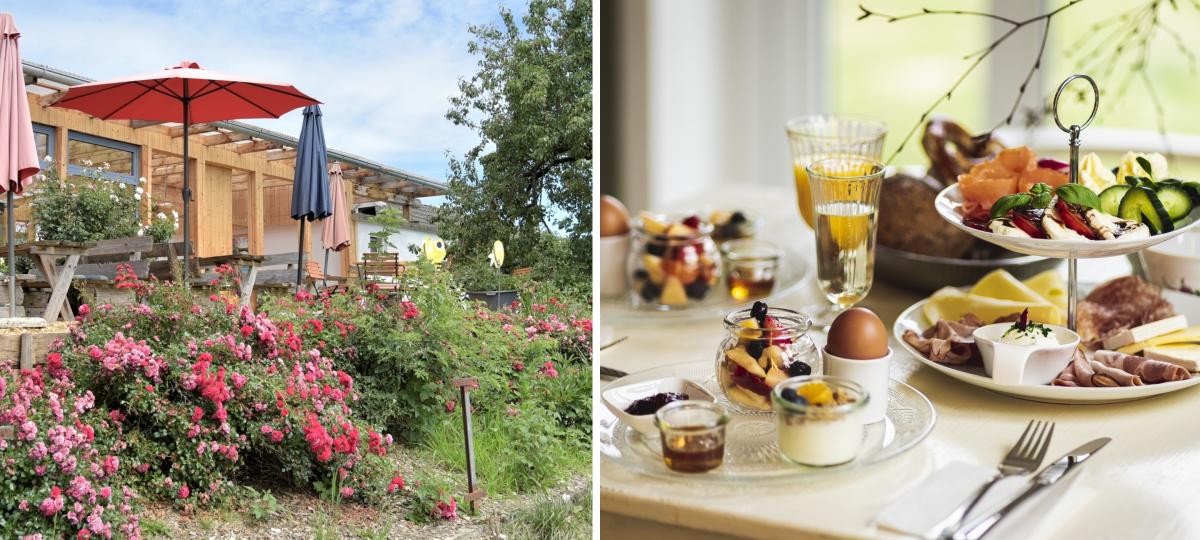 Sechs Tipps für Genießer: Diese Hofcafés in Aichach-Friedberg sollten Sie kennen