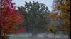 Nebel im oberfränkischen Wildpark Schloss Tambach.