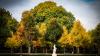 Die Blätter werden bunt, die Winde kalt: der Herbst ist da in Karlsruhe.