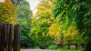 Die Blätter werden bunt, die Winde kalt: der Herbst ist da in Karlsruhe.