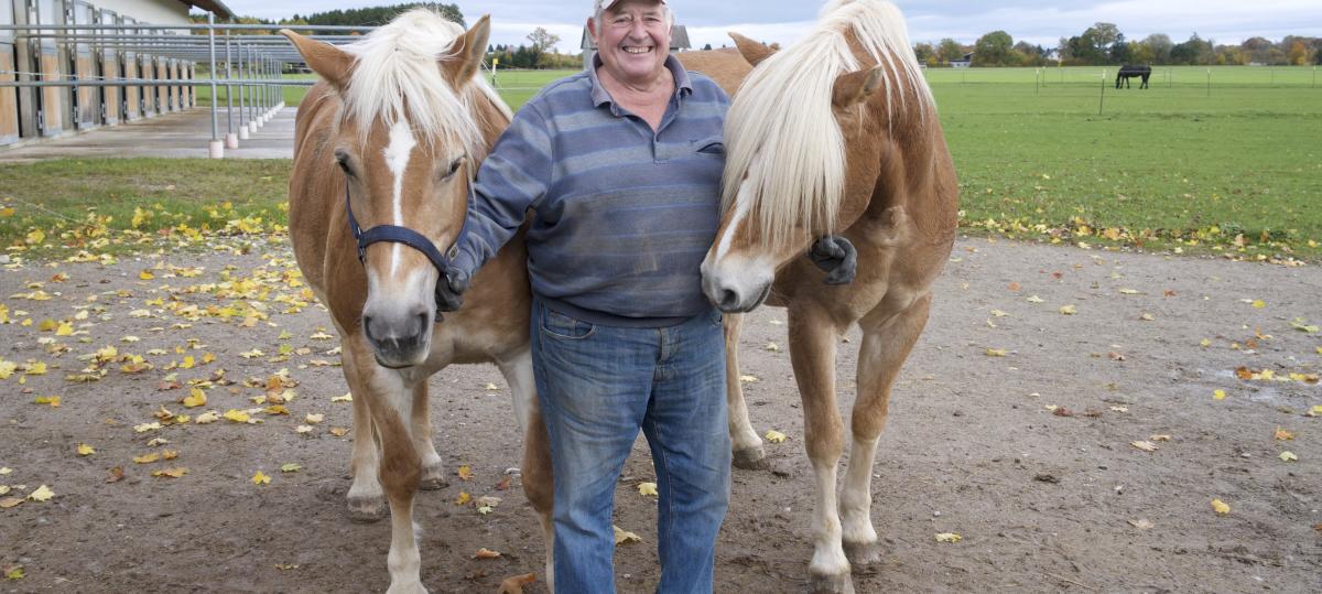 Die Pferde von Erich Graf aus Reichling ziehen beim Leonhardiritt die Kutsche