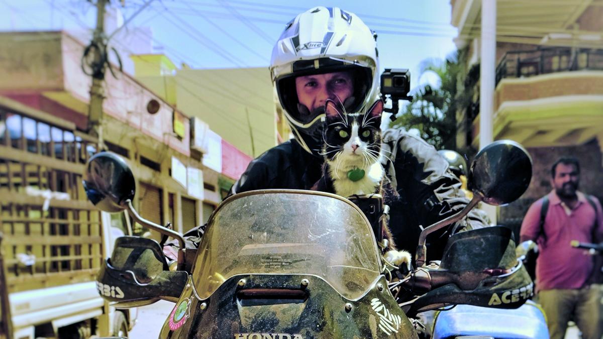 Auf-Weltreise-mit-Katze-Im-Himalaja-hat-es-Mogli-am-besten-gefallen-