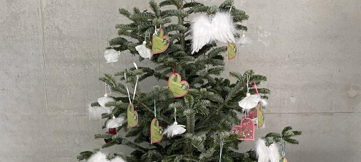 Landsberger Wunschbaumaktion