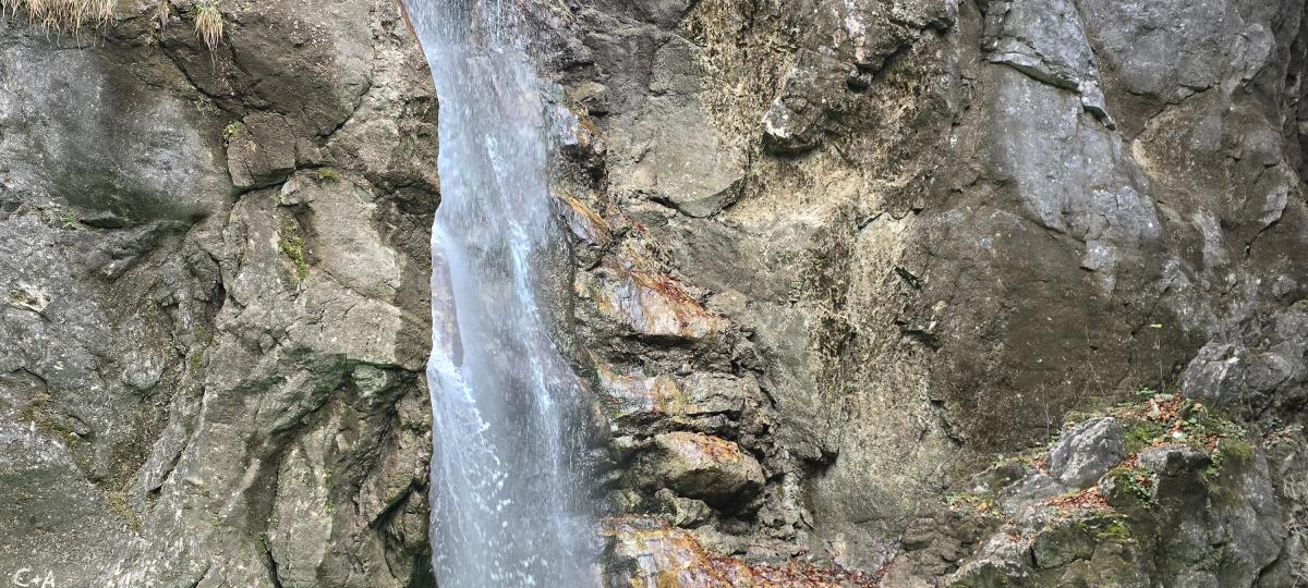 Neongrünes Wasser in Oberbayern: Unbekannte färben Lainbach ein