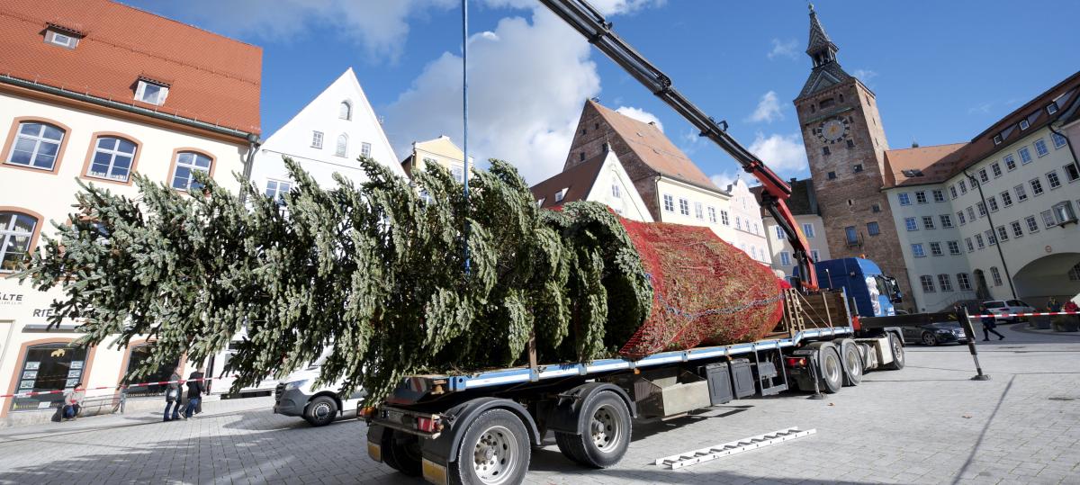 Bei strahlendem Sonnenschein wird der Christbaum aufgestellt