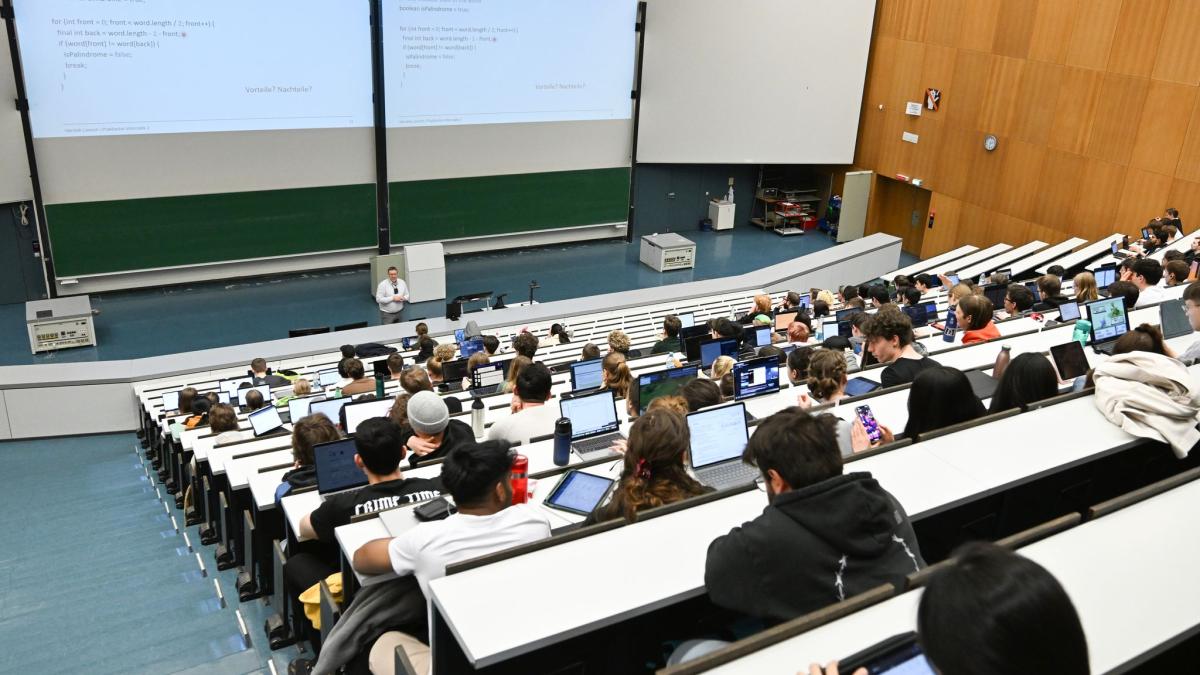 Gef-hrlicher-Gast-Chilenische-Einsiedlerspinne-in-T-bingen