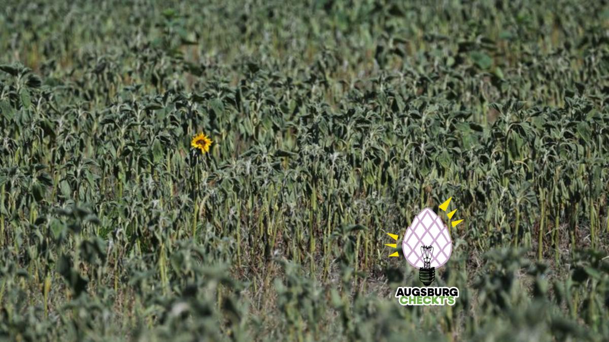 CO-Gehalt-ber-Jahrtausende-niedriger-als-heute
