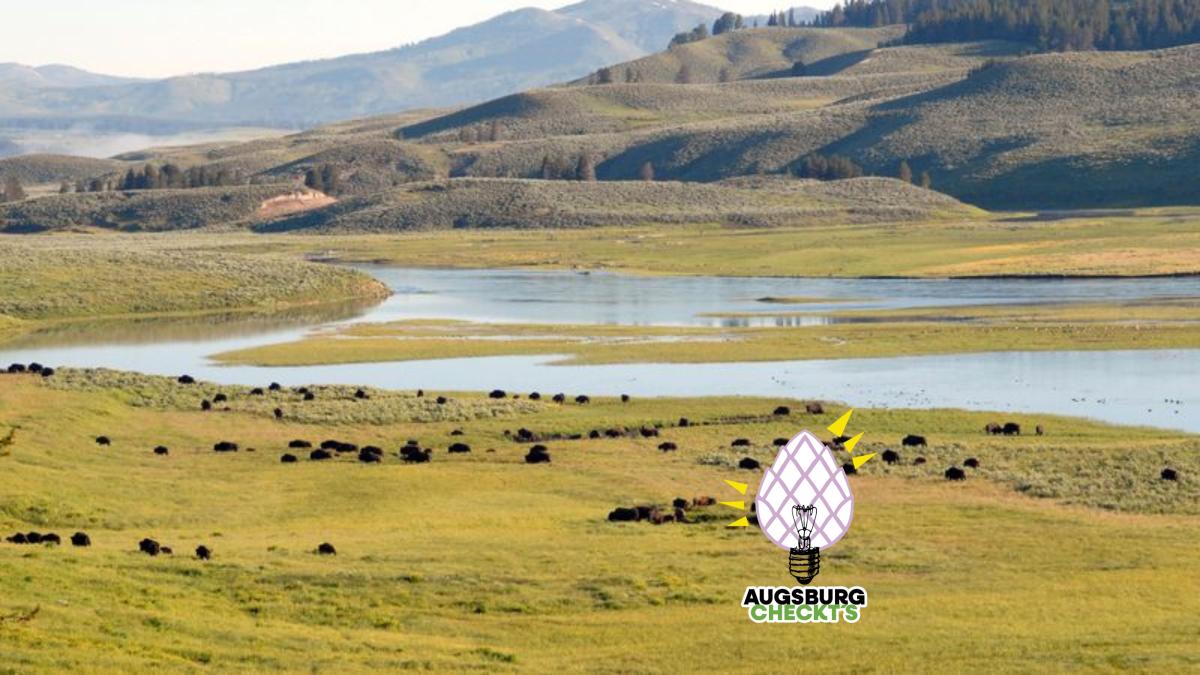 Selenskyj-hat-keine-Mega-Ranch-in-Wyoming-gekauft