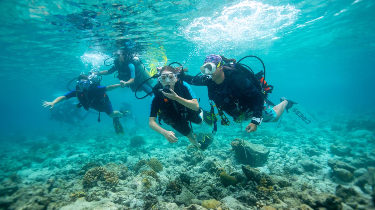 Abtauchen-auf-den-Malediven-Wie-eine-Anf-ngerin-ihren-ersten-Tauchgang-erlebt