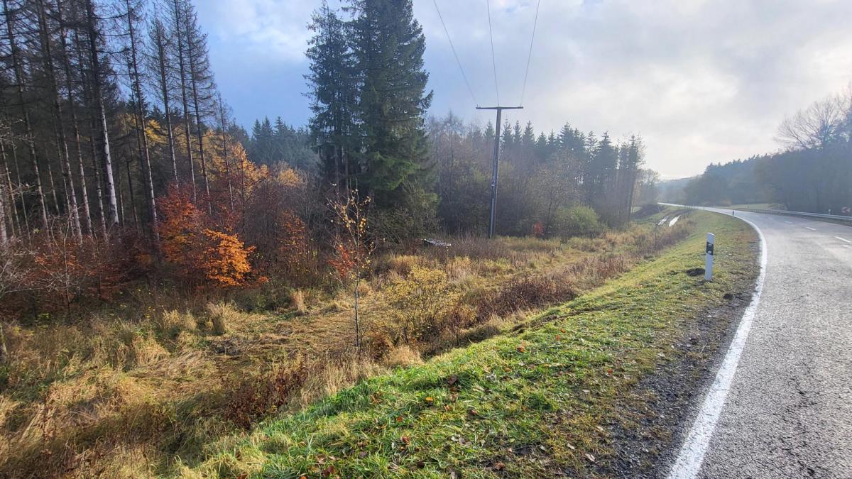 wie-die-polizei-bei-schweren-ungl-cken-vorgeht