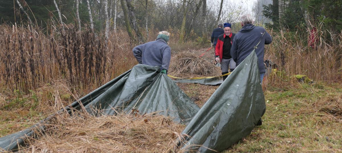 Verborgene Blütenpracht im Tannerfilz: Wie Ehrenamtliche ein Moor retten