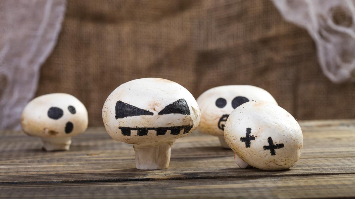 Kann-man-Champignons-nach-einer-Woche-noch-essen-So-lange-sind-die-Pilze-haltbar