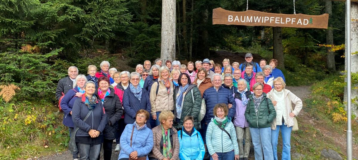 Fahrt in den Schwarzwald