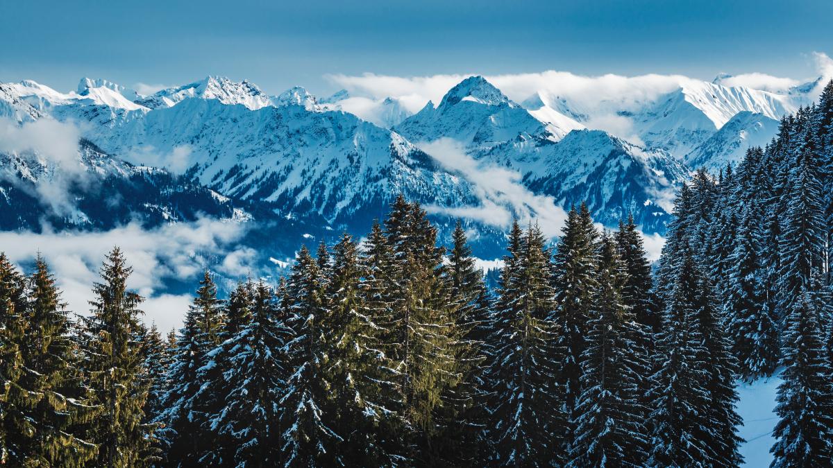 bergbahn-weltcup-express-in-ofterschwang-das-m-ssen-sie-f-r-ihren-ausflug-unbedingt-wissen