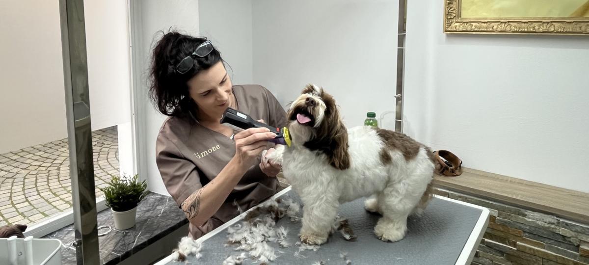 Neuer Hundesalon: Hier bleiben keine Hundewünsche offen