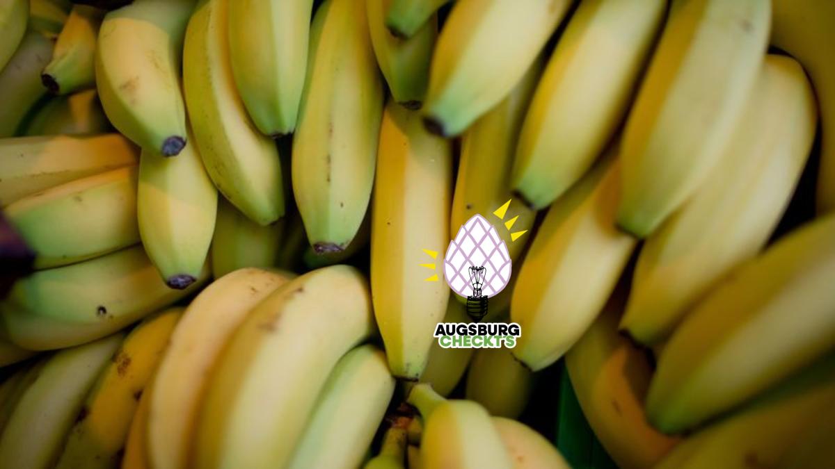 Lebensmittel-unterliegen-strengen-Richtlinien