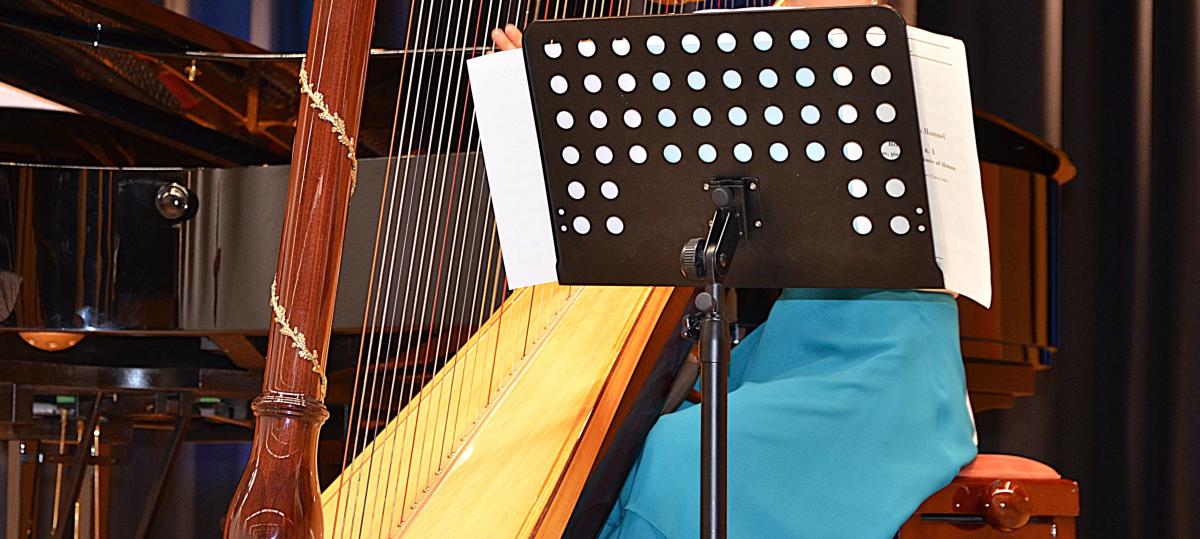 Christina Kausel-Kurz kommt mit ihrer Harfe wieder nach Illertissen