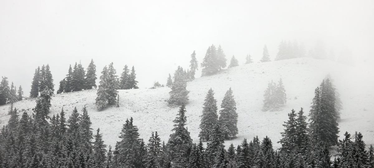 Tödliches Unglück im Allgäu: Augsburger stirbt nach Lawine am Iseler