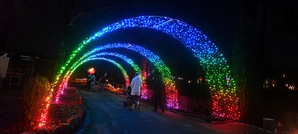 Christmas Garden im Augsburger Zoo: So viele Besucher wie noch nie