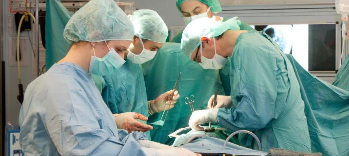 Kreiskliniken sind auf dem Weg der Besserung