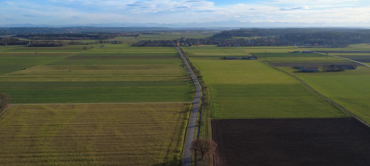 PV statt Acker: Nimmt die Stadt Landwirten die Lebensgrundlage?