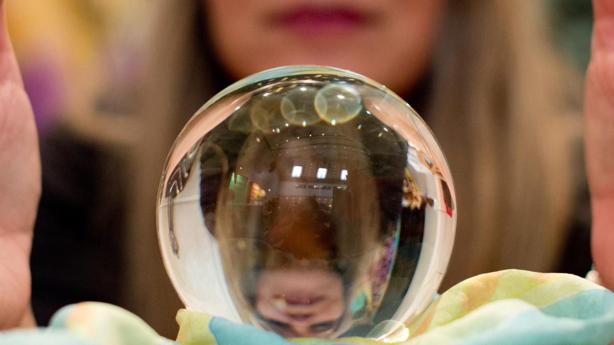 Krokodile-Fl-e-Riesentannen-So-k-nnte-das-Jahr-2026-im-Landkreis-laufen