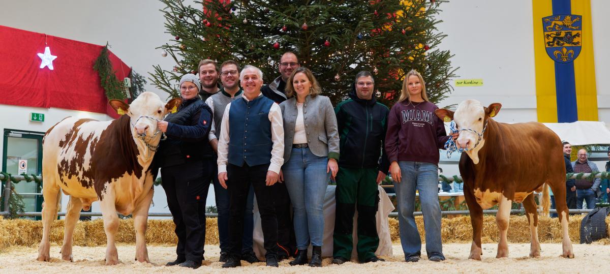 Rekordpreis: Ein Spitzenbulle wird in Wertingen für 160.000 Euro versteigert