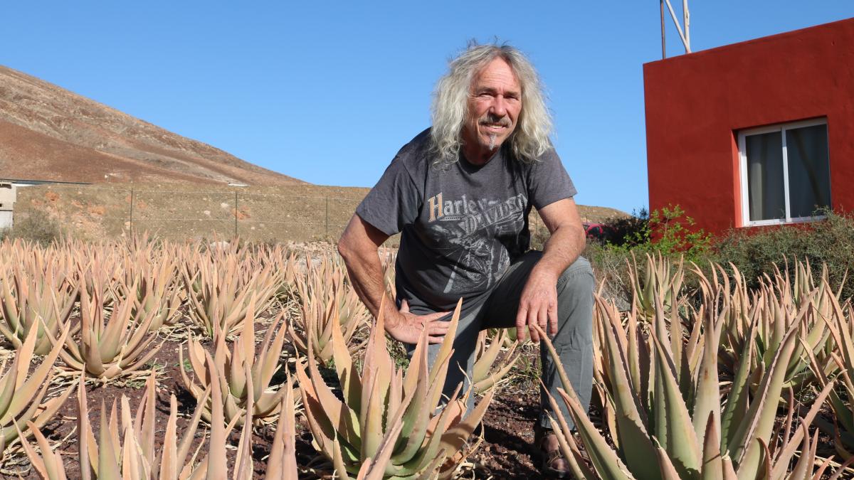 Anspruchslos-aber-ein-wenig-rau-Das-ist-der-heimliche-Superstar-von-Fuerteventura-