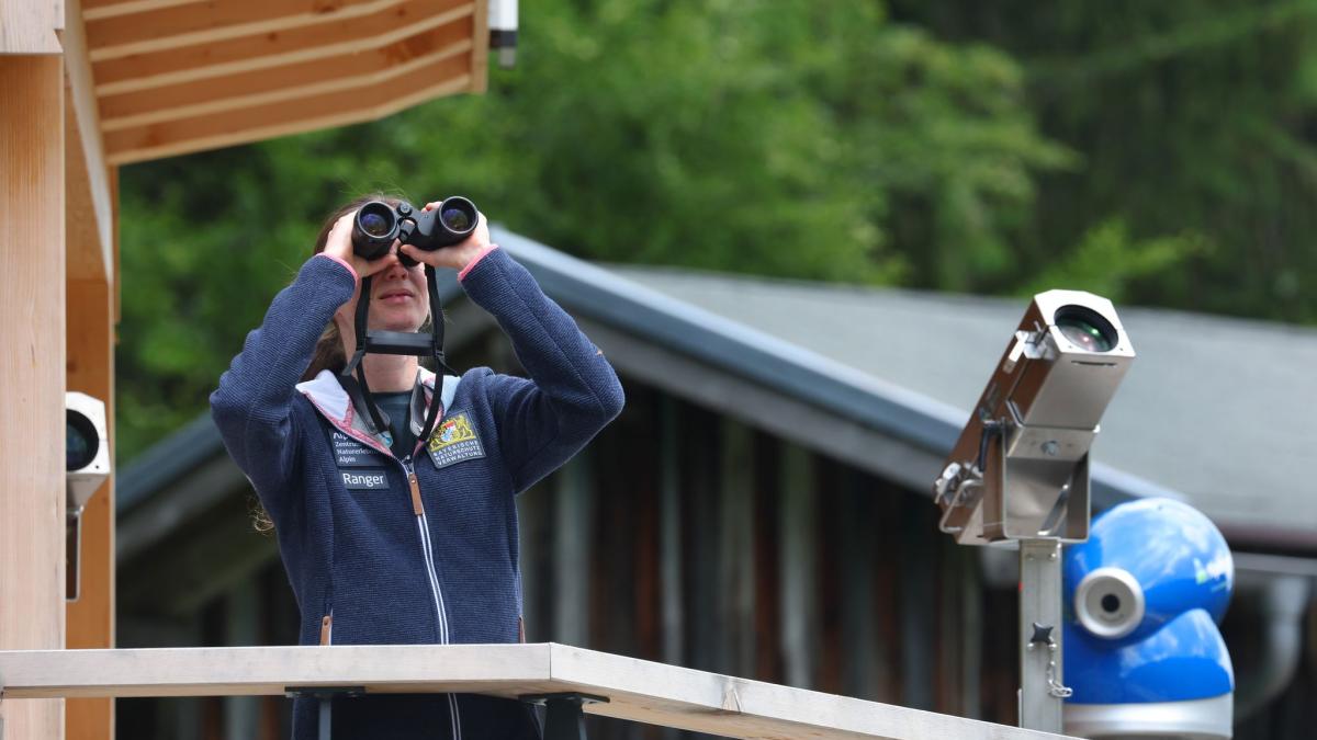 Bayern-stoppt-Modellprojekt-am-Riedberger-Horn