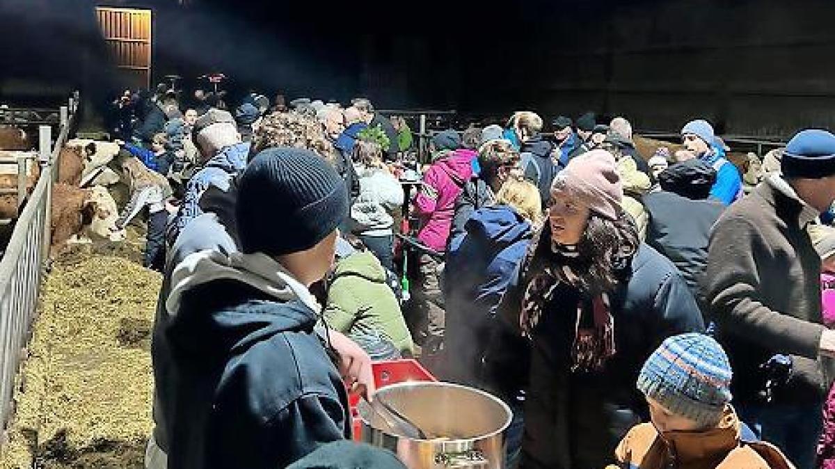 Weihnachten-im-Stall-f-r-einen-guten-Zweck
