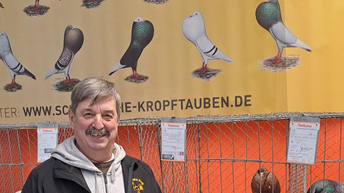 Ausstellungen-beim-GZV-Ibind-u-Umgeb-in-Hofheim