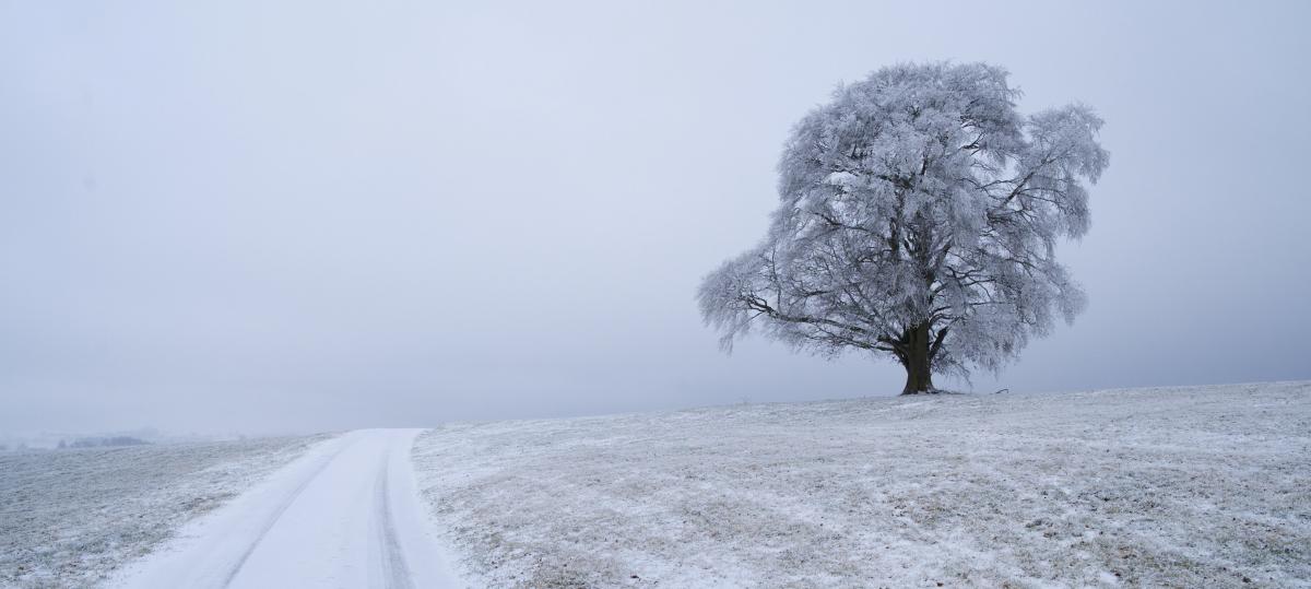 Es weihnachtet sehr: Weiße Weihnacht im Landkreis Landsberg