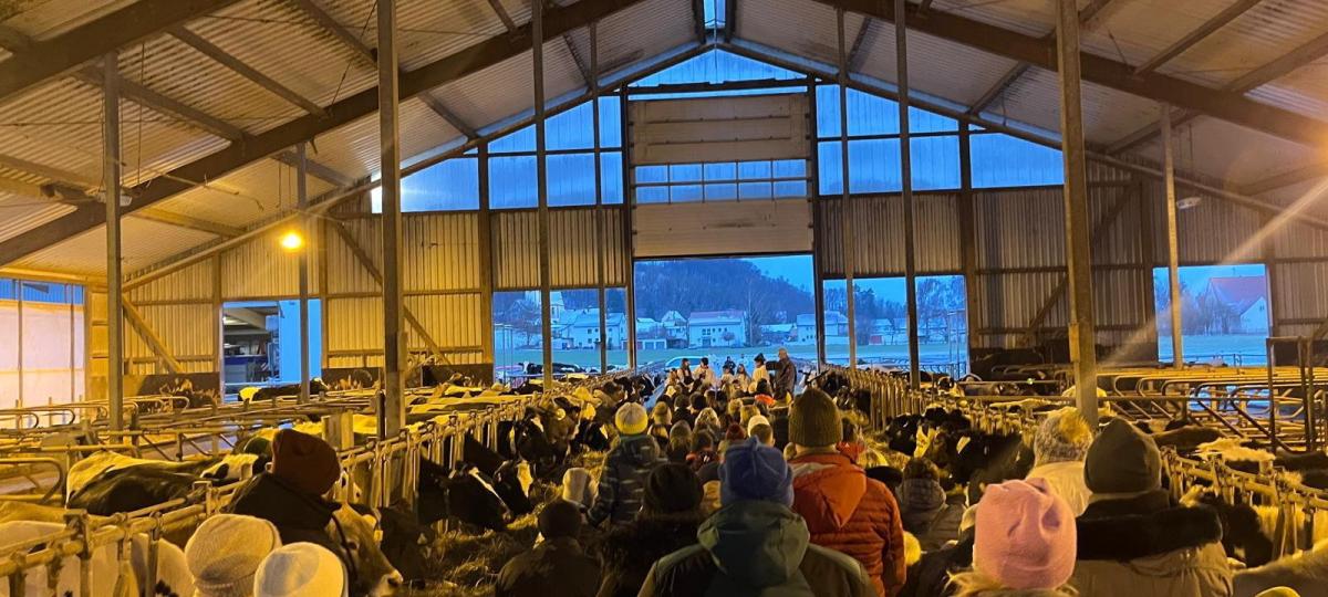 Weihnachten im Stall in Untereichen