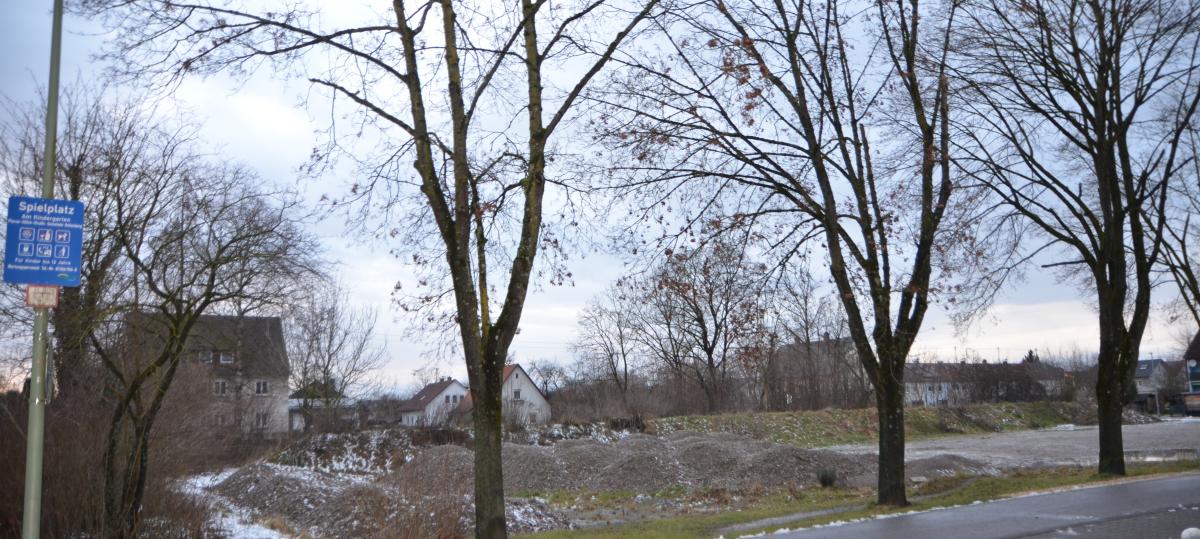 Auch sonnenhungrige Eidechsen und Grünzäsuren können zum Politikum werden