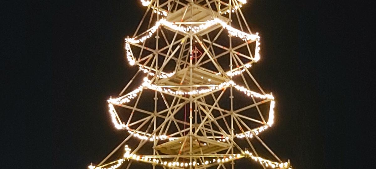 Christbaum-Voting: Der schönste Weihnachtsbaum steht in Neuschwtzingen