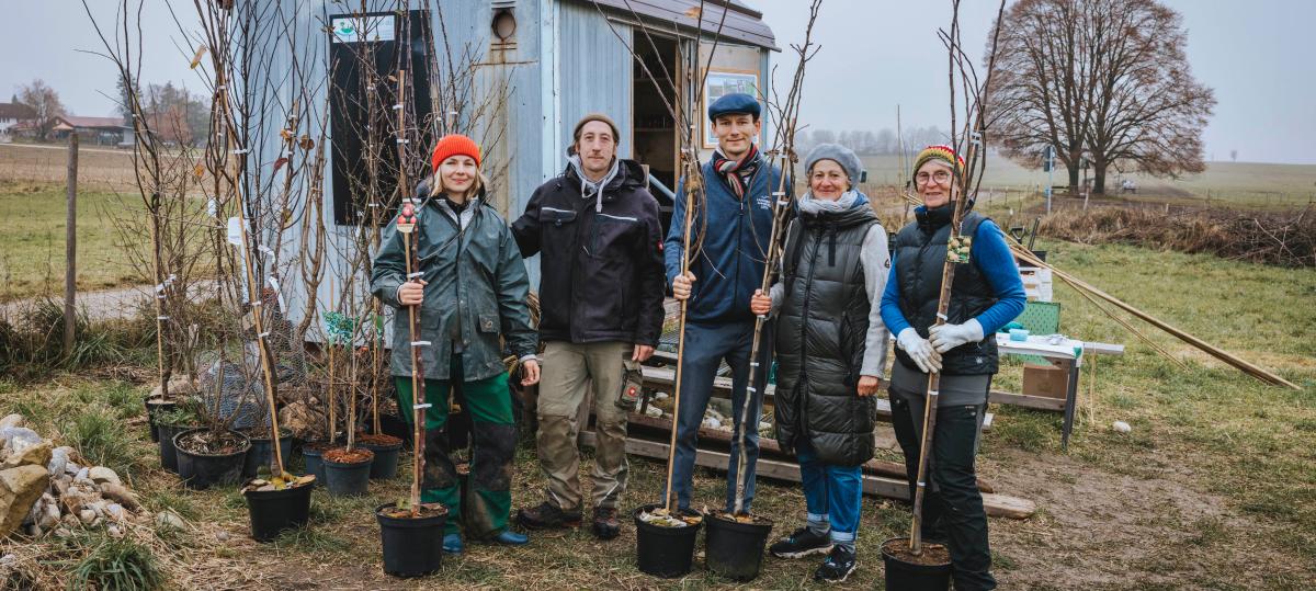 Auf dem Schondorfer Gemüseacker wachsen jetzt auch Obstbäume
