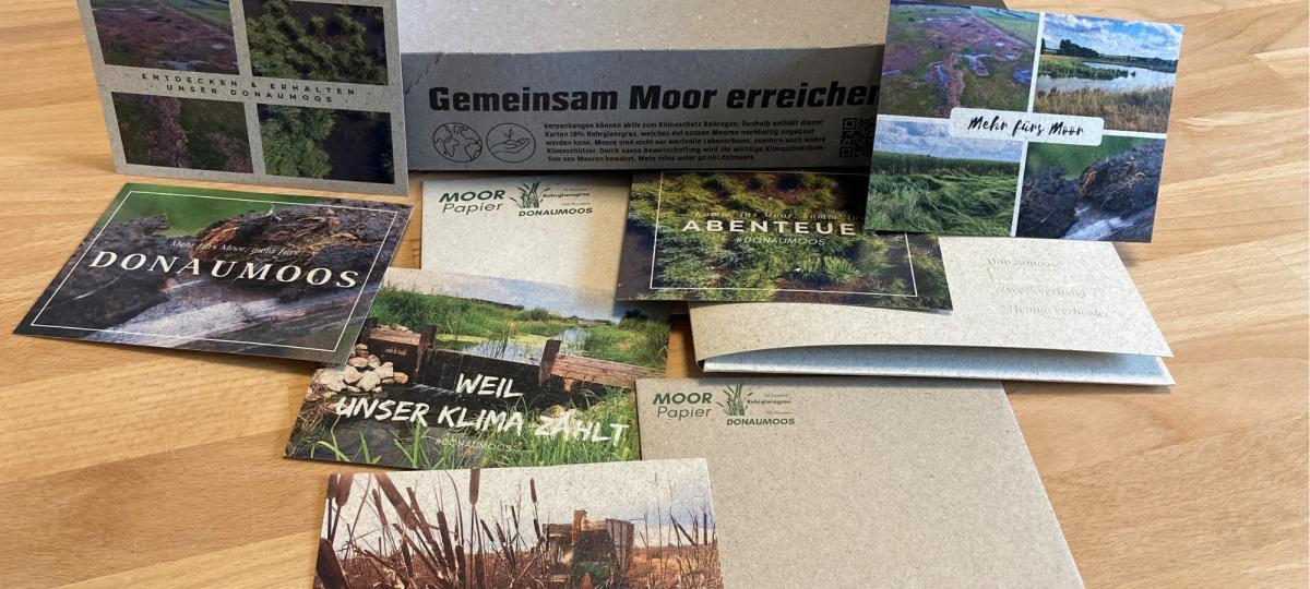 Projekt soll Forschungslücke zu Moor-Papier schließen